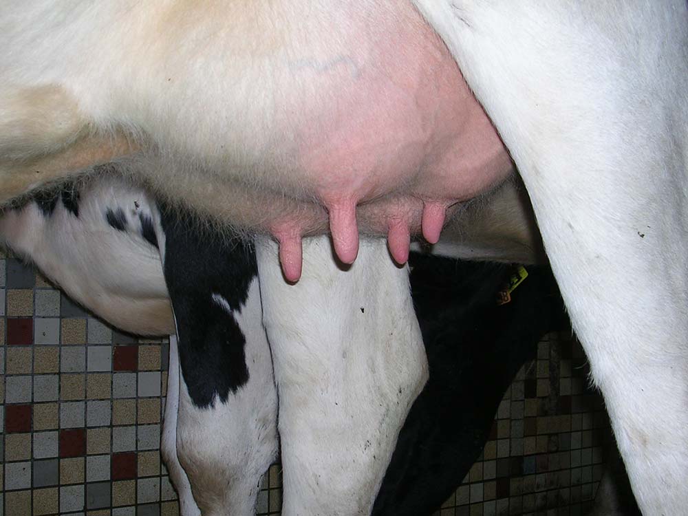 7655.hr