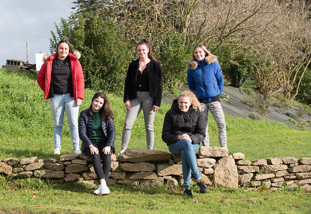 Dd7554.hr - Illustration Le club des cinq à l’école de la pratique