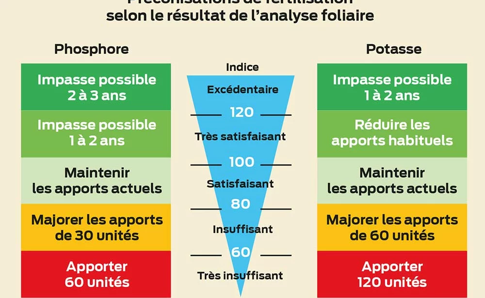 Graphique Dld - Illustration Réserve de fond pour la prairie