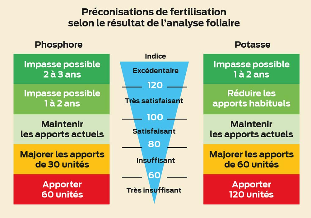 Graphique Dld