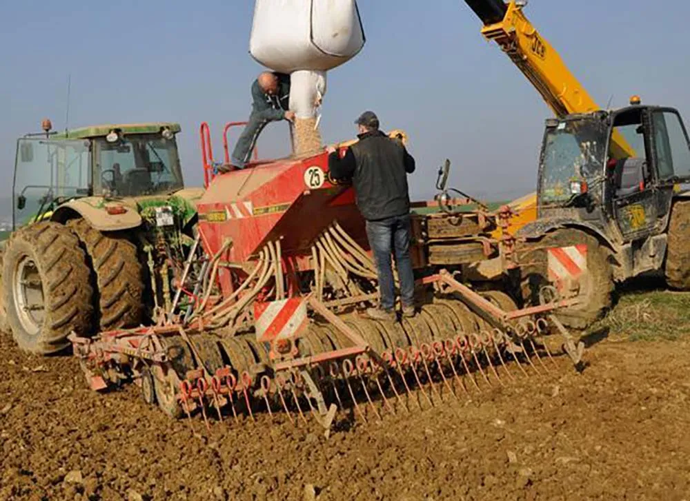 Dd7756.hr - Illustration Du pois sur des parcelles ressuyées