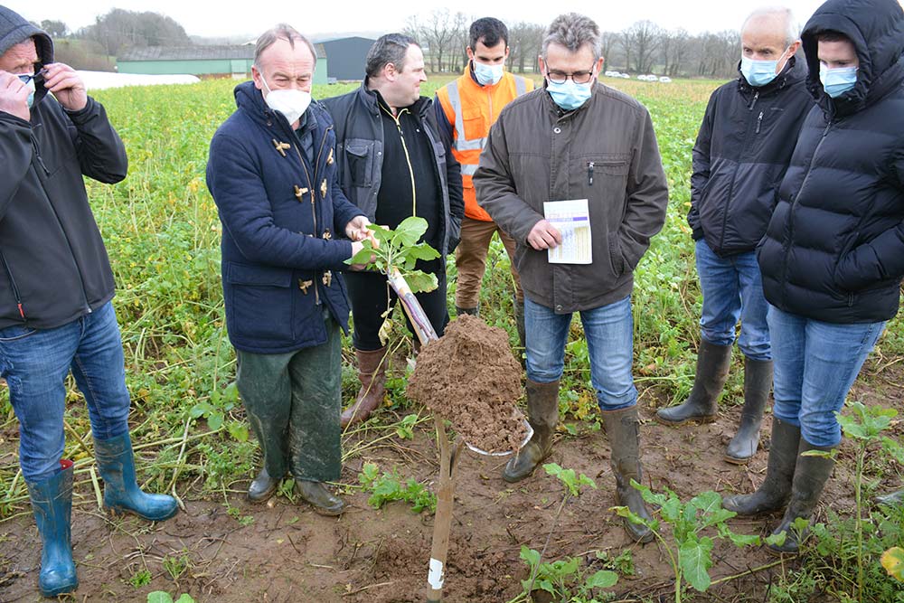 Dd7767.hr - Illustration De bonnes pratiques pour réduire les phytosanitaires