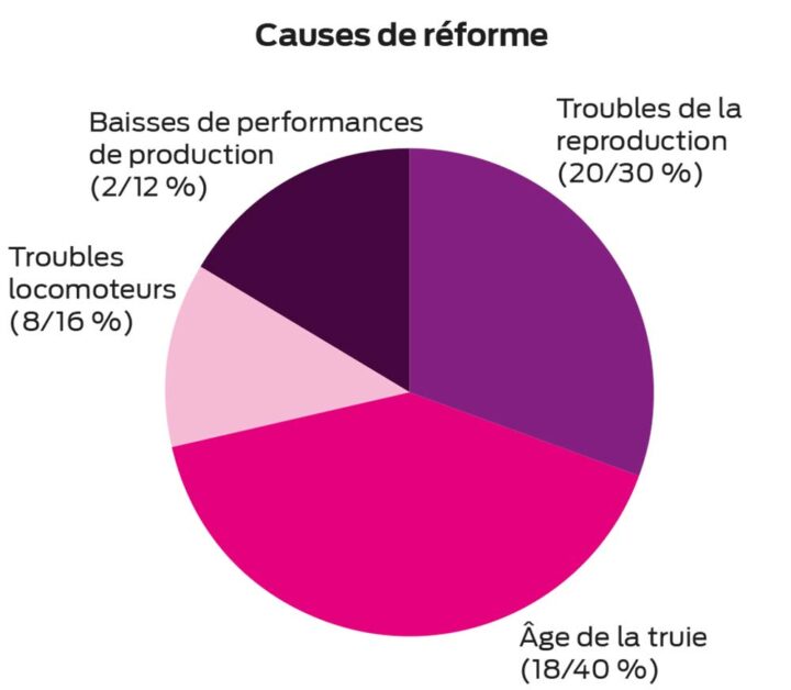 graphique boiterie