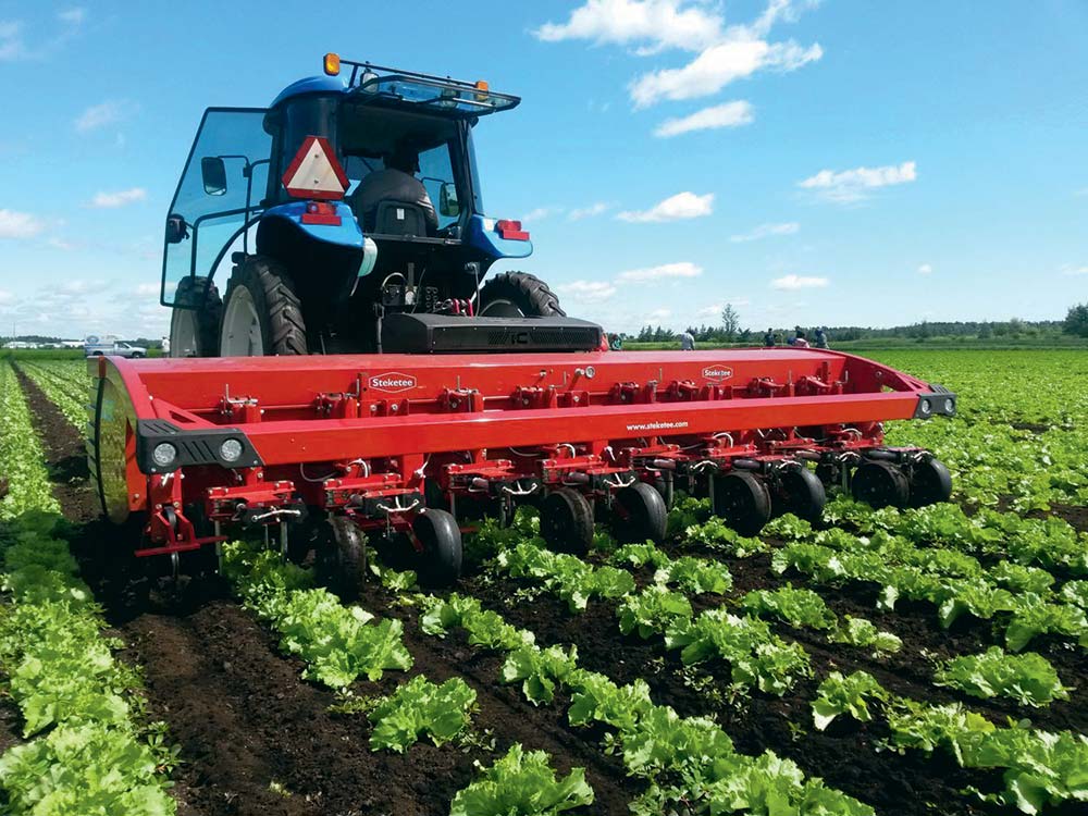 dd8072.hr - Illustration IC-Weeder : Les faucilles s’occupent des adventices