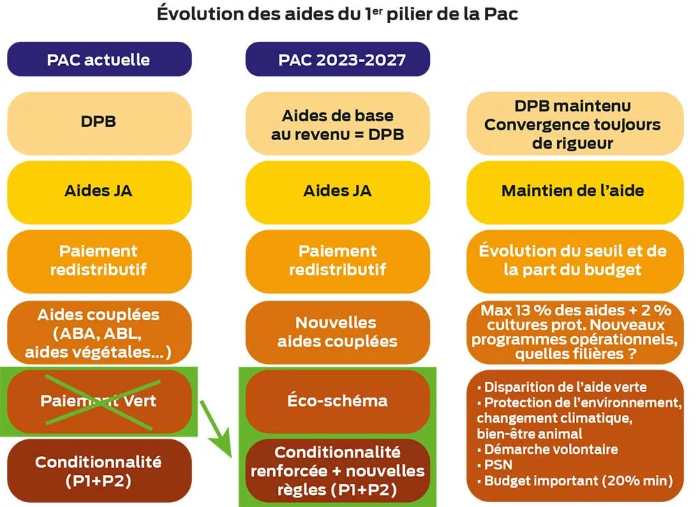 schema ed35 - Illustration « Une Pac soutenant les agriculteurs qui produisent »