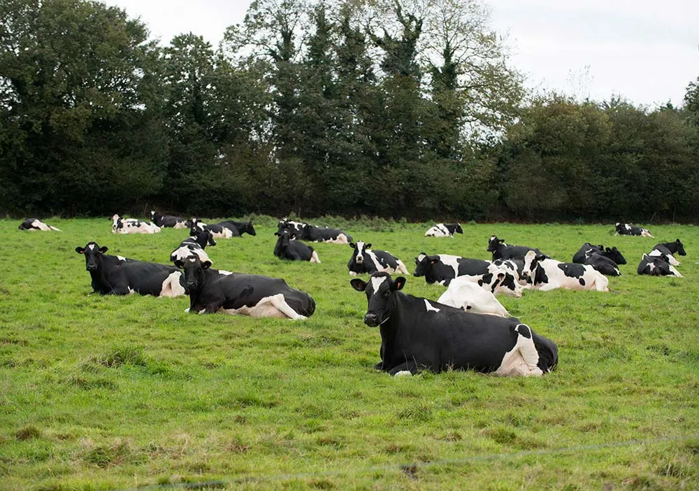 8397.hr - Illustration Arcowin, un géant de la génétique