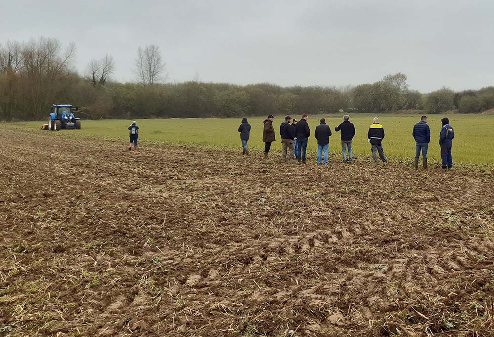 dd8195.hr - Illustration Des outils en action pour détruire les couverts