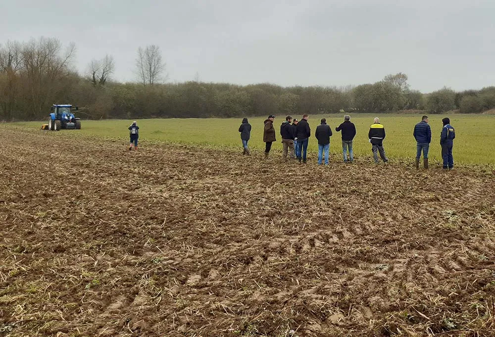 dd8195.hr - Illustration Des outils en action pour détruire les couverts