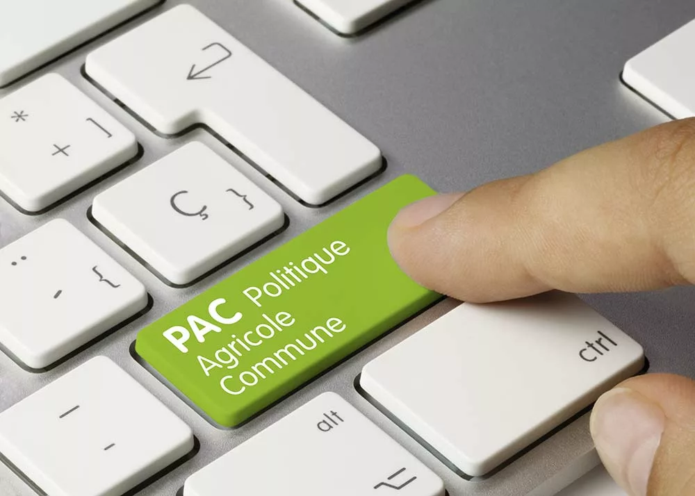 dd8325.hr - Illustration Les demandes d’aides sur Telepac