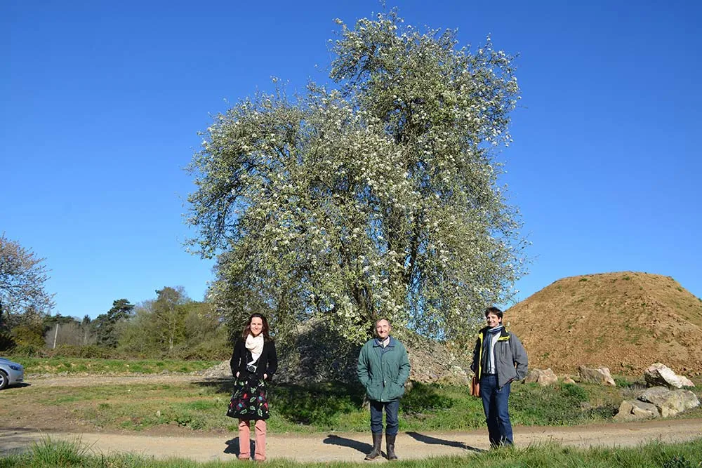 dd8334.hr - Illustration Repérons les « poiriers vénérables »