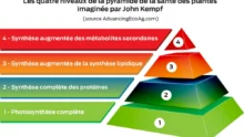 schema ed22 pyramide