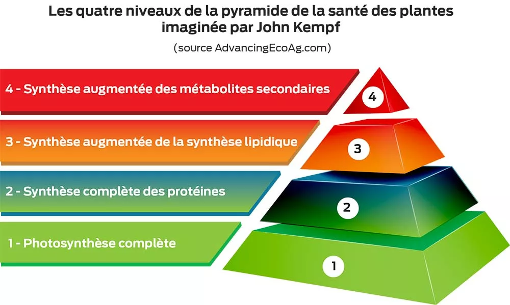 schema ed22 pyramide - Illustration Le bon fonctionnement du sol stimule la santé des plantes
