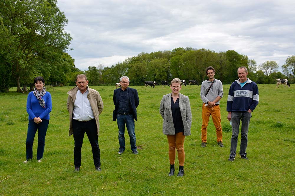 8601.hr - Illustration Les efforts se poursuivent pour lutter contre les algues vertes