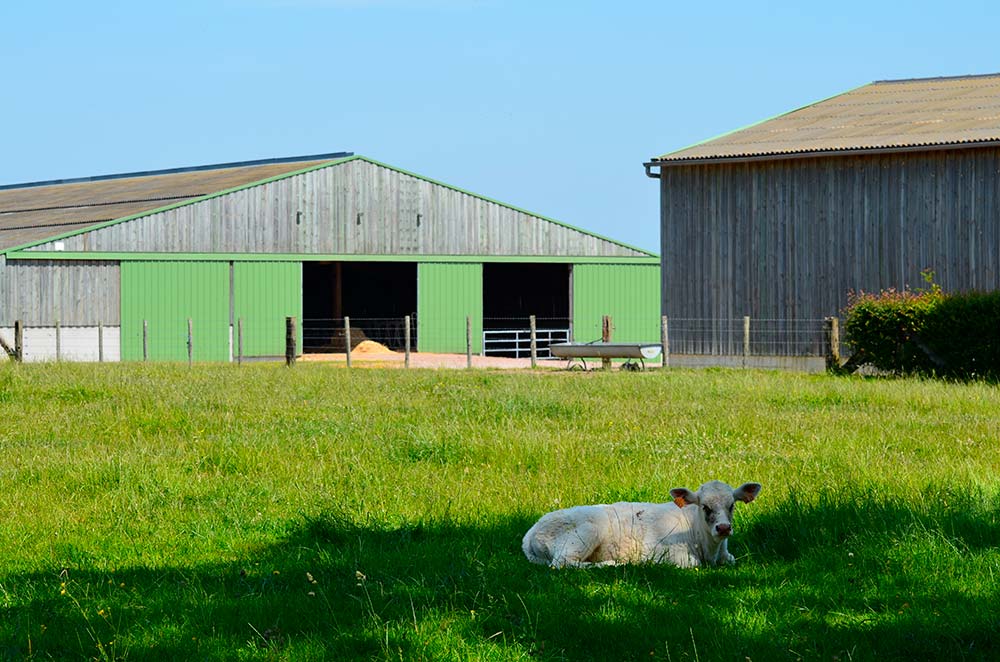 Le changement de destination d'un bâtiment agricole