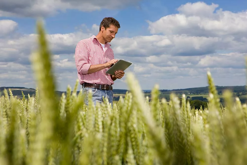 dd8472.hr - Illustration Vente phyto : conseils obligatoires et priorité aux méthodes alternatives