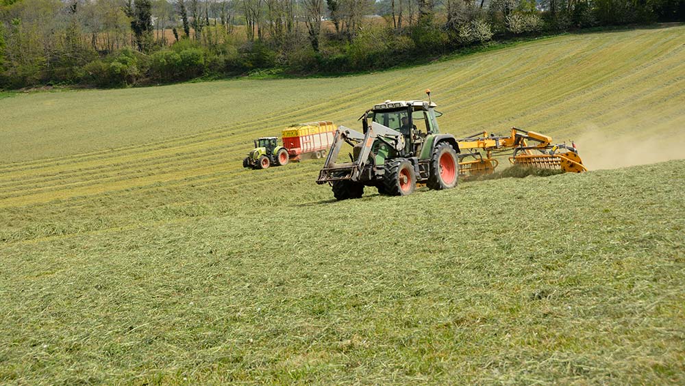 fpa 7475 - Illustration La gestion de l’herbe s’affine