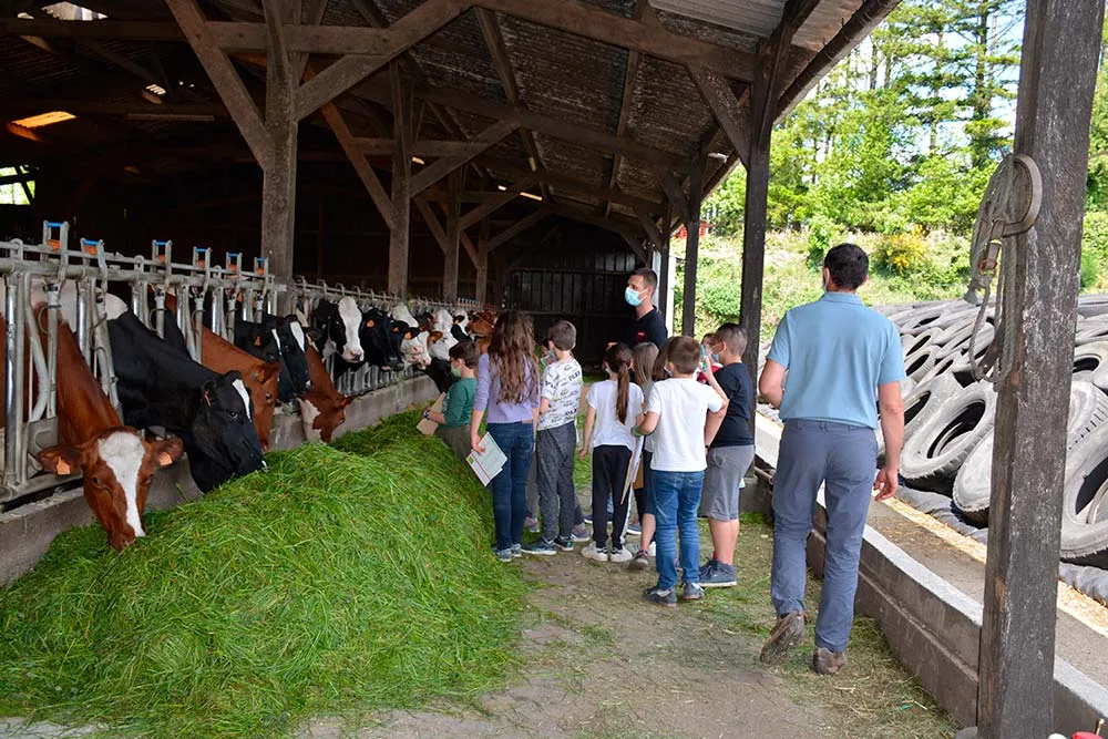 8906.hr - Illustration Un cours de sciences naturelles à la ferme
