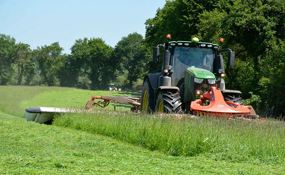 8954.hr - Illustration Un mois de juin favorable à l’herbe