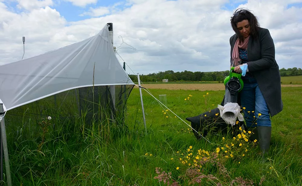 dd8711.hr - Illustration Auxiliaires : Inspirés par la biodiversité