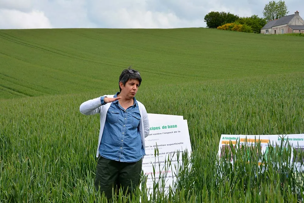 dd8721.hr - Illustration Ne pas laisser partir son sol