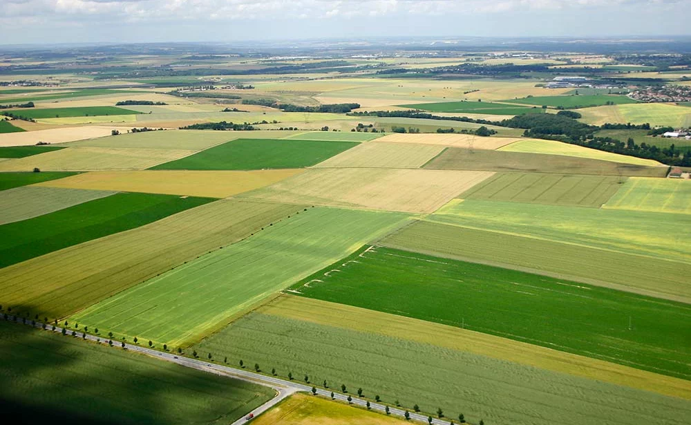 dd8857.hr - Illustration Régulation de l’accès au foncier agricole : quelles nouveautés législatives ?