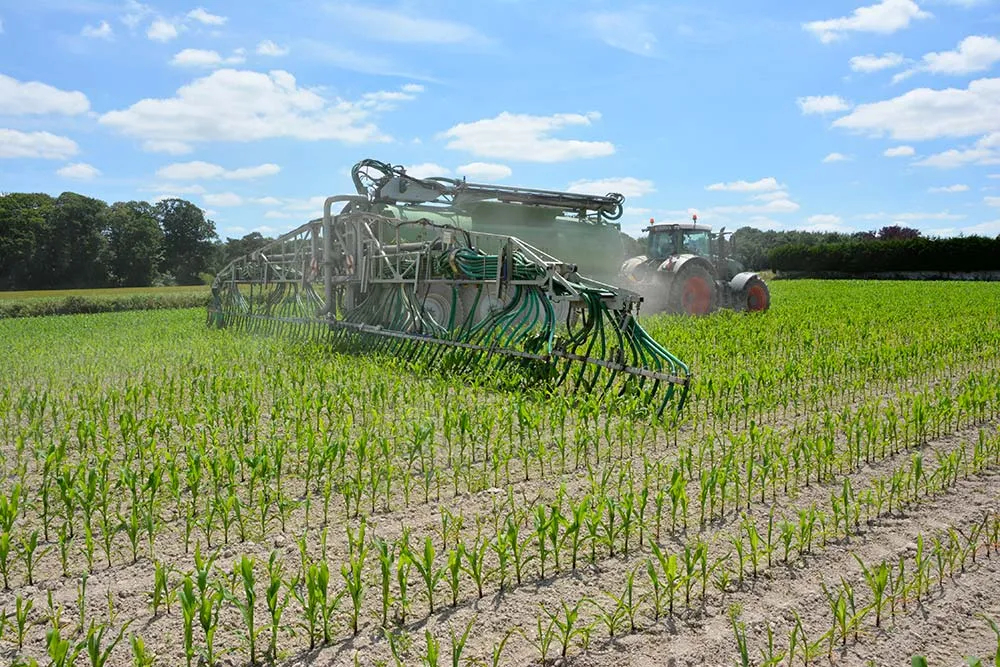 dd8933.hr - Illustration « Les digestats vont au-delà de la valeur fertilisante »