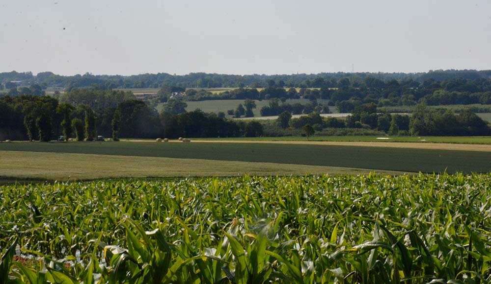 dsc 2885 - Illustration Régionales 2021 : Des aides à l’installation et à l’investissement