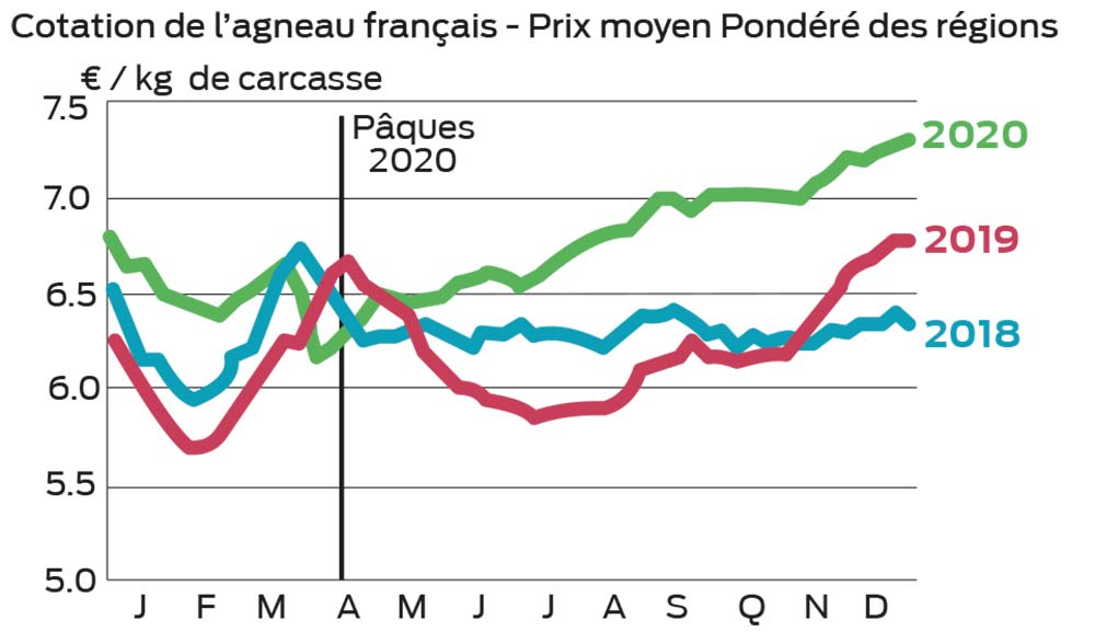 graphique p6
