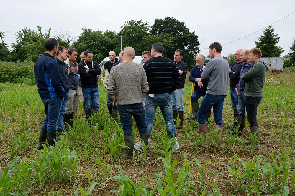 9203.hr - Illustration Ils visent une baisse des herbicides en agriculture de conservation