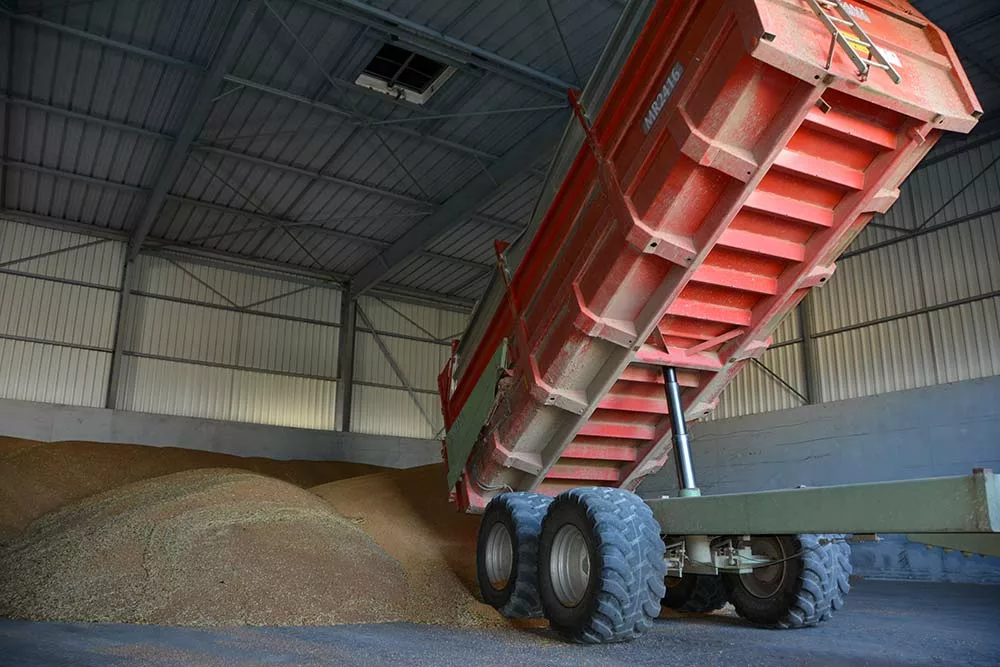 9212.hr - Illustration Stockage du grain