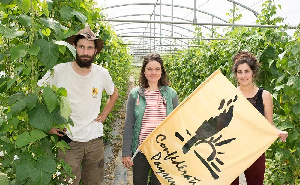 9213.hr - Illustration « Les fruits et légumes abandonnés par la Pac »