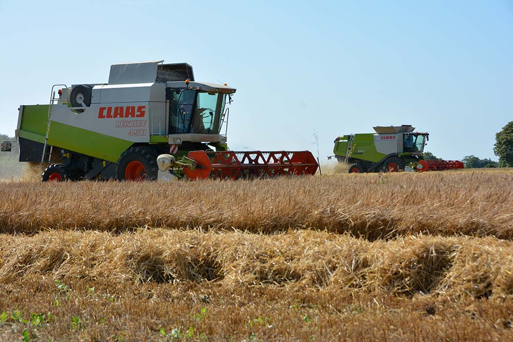 9269.hr - Illustration Moisson 2021 : Jusqu’ici, tout va bien