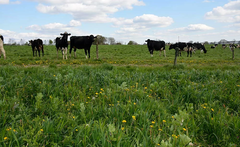 a9085.hr - Illustration Lait bio : Objectif d’une meilleure répartition de la valeur