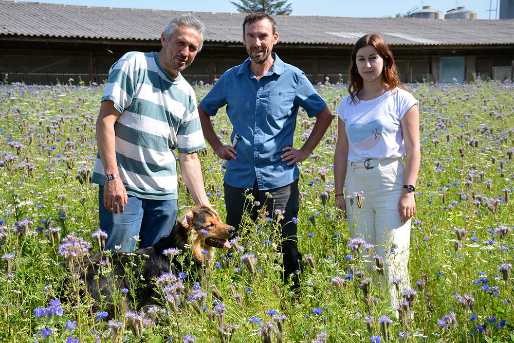 a9292.hr - Illustration Rapaces et bandes fleuries à l’aide des légumiers