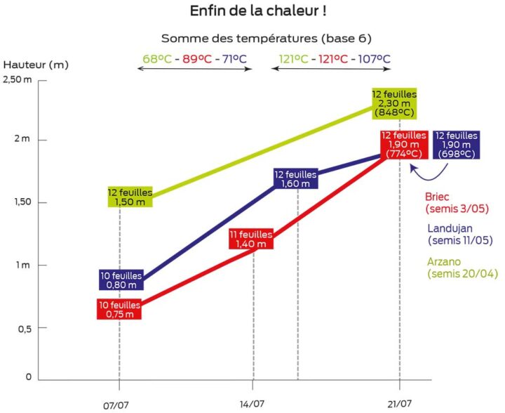 graph m 230721