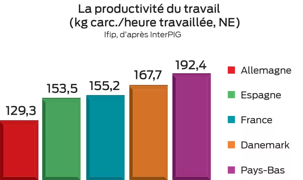 graphique 3 - Illustration Porc : Toujours plus haut en productivité