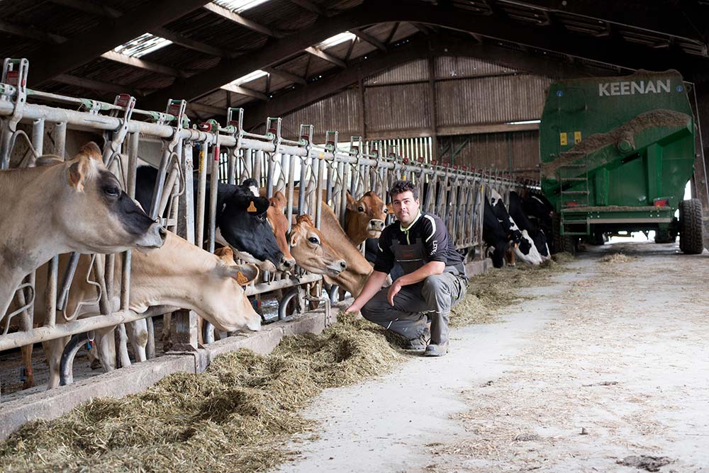 9461.hr - Illustration « Le foin comme une culture de vente »
