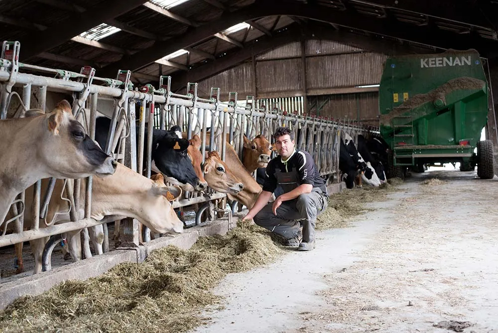 9461.hr - Illustration « Le foin comme une culture de vente »