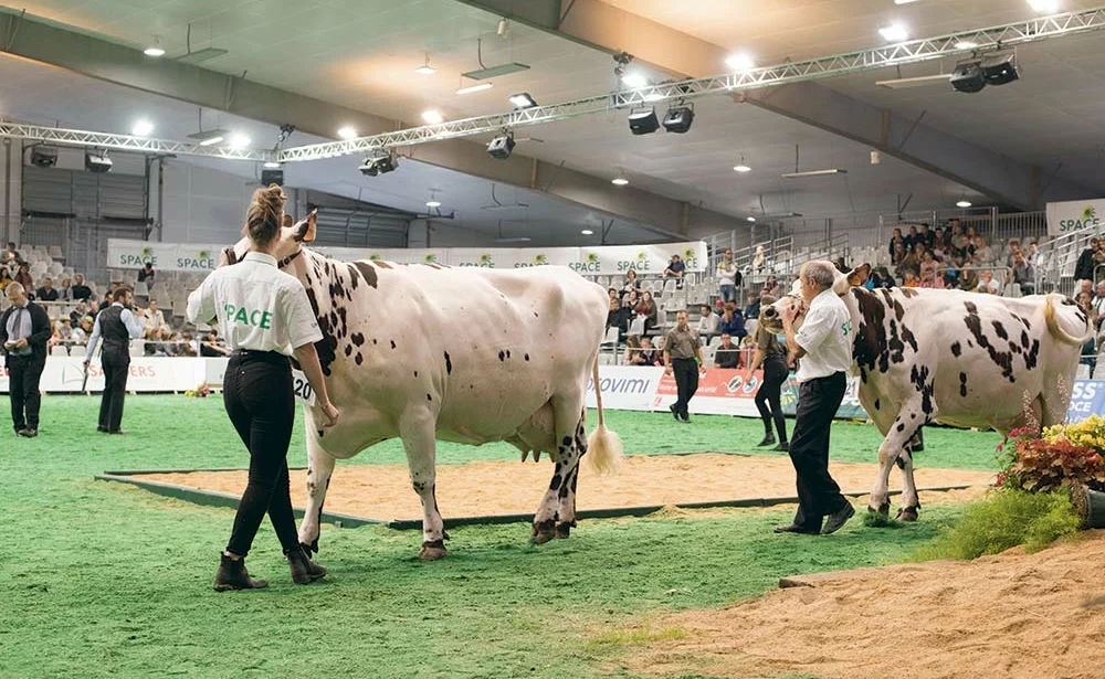 9482.hr - Illustration Space 2021 : Un Breton au milieu du ring de la Normande