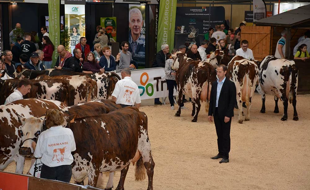 b9516.hr - Illustration Ohhh la vache ! Les 16 et 17 octobre au parc expo de Pontivy