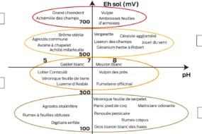 graph p12