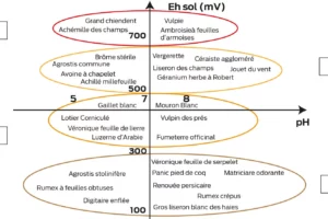 graph p12