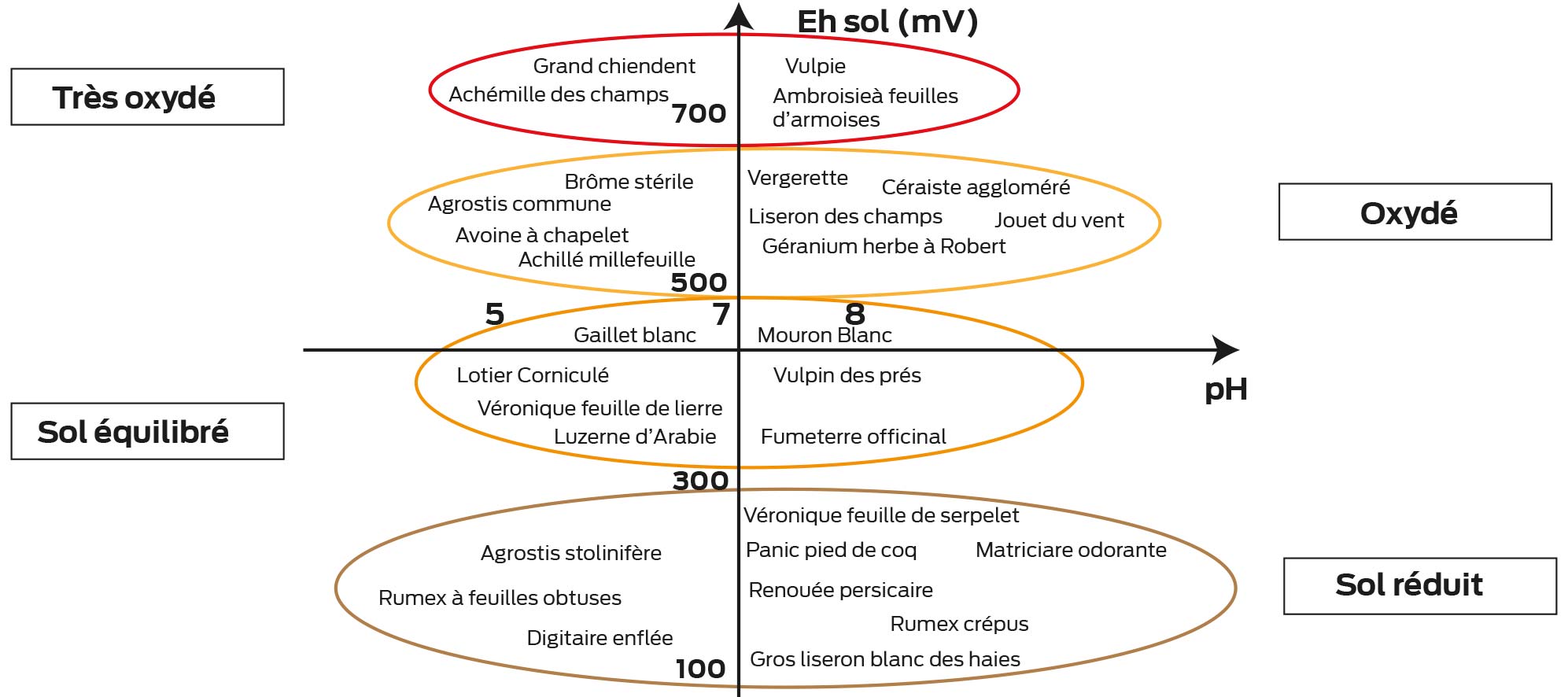graph p12