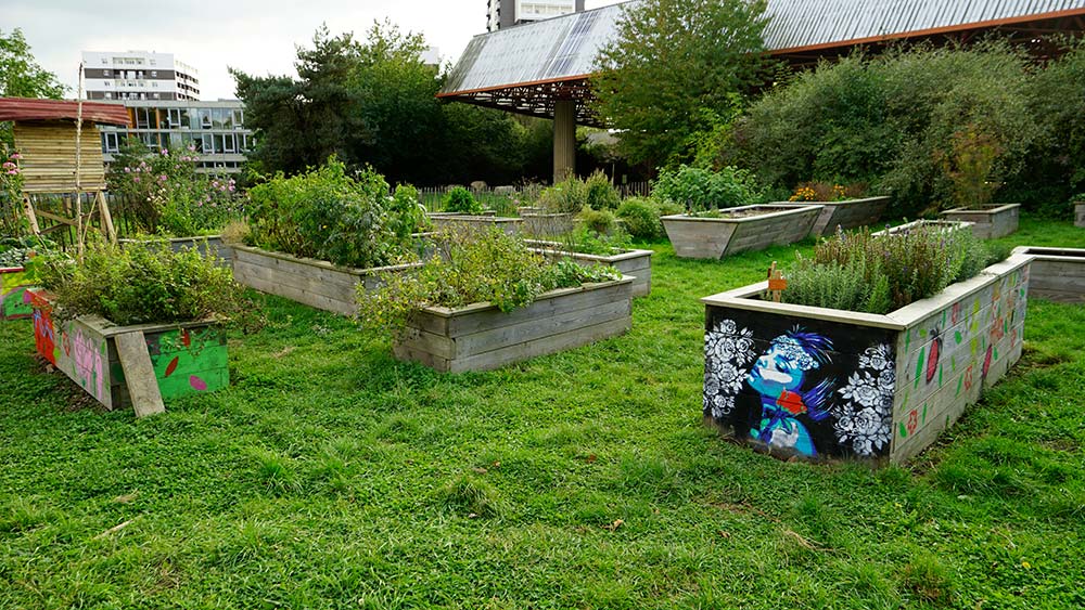 10070.hr - Illustration Le Potager des Cultures crée du lien social à Rennes