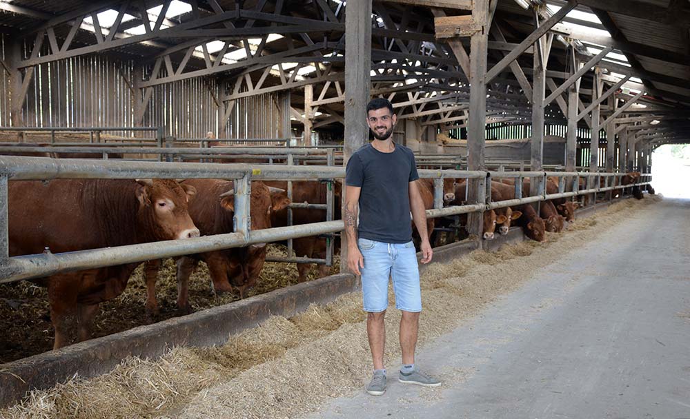 intérieur - Illustration Une ration maïs épi – maïs ensilage efficace