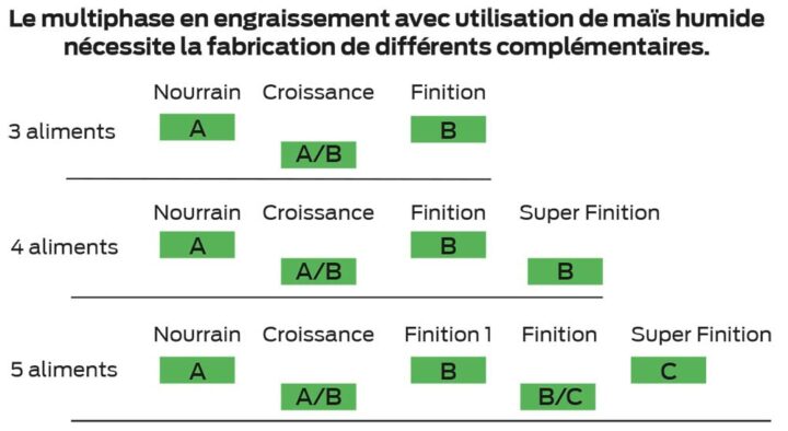 eureden graph 2