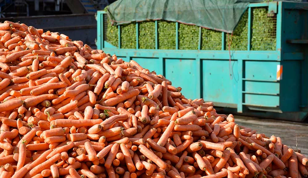 10411.hr - Illustration Le légume industrie à la croisée des chemins