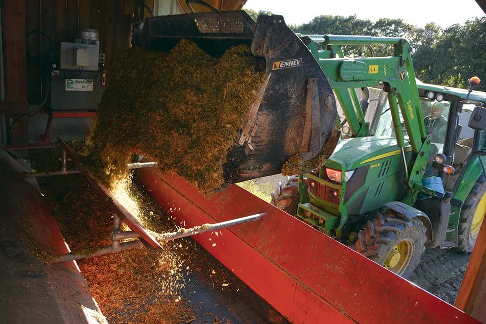 10438.hr - Illustration Le tapis déroulé pour la ration