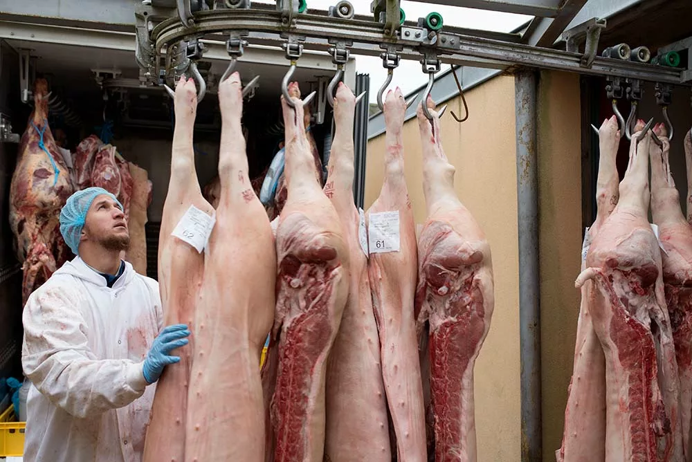 10454.hr - Illustration Porc : À la recherche de valeur ajoutée