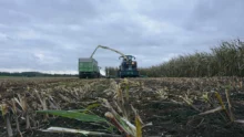 les chantiers d’ensilage ont été très étalés cette année.